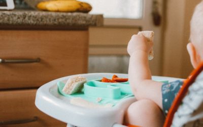 BABY LED WEANING